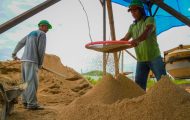mais-de-600-novas-vagas-de-emprego-movimentam-o-mercado-de-trabalho-em-rondonia