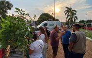 mobilizacoes-ambientais-alusivas-ao-dia-mundial-da-limpeza-e-da-arvore-acontecem-neste-fim-de-semana,-em-porto-velho