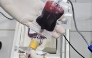 fhemeron-reforca-doacao-de-medula-ossea-que-e-vital-para-o-tratamento-de-mais-de-50-doencas-hematologicas