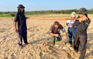 governo-de-ro-reforca-conservacao-da-biodiversidade-com-monitoramento-das-tartarugas-da-amazonia-no-parque-estadual-corumbiara