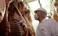 referencia-em-defesa-sanitaria-agropecuaria,-rondonia-e-destaque-tambem-no-cenario-economico,-com-aumento-de-17,5%-nas-exportacoes-de-carne-bovina