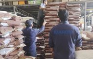 fiscalizacao-para-combater-fraudes-na-comercializacao-de-sementes-e-intensificada-pelo-governo-de-ro
