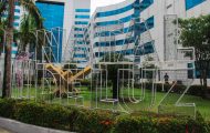 palacio-rio-madeira-se-transforma-em-“jardim-encantado”-com-acendimento-das-luzes-do-natal-de-luz,-nesta-segunda-feira,-3