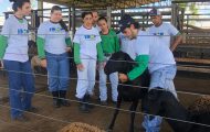 alunos-do-curso-tecnico-em-zootecnia-apresentam-praticas-de-bem-estar-animal-na-ii-semana-do-tecnico-agricola,-em-pimenta-bueno