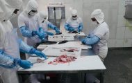 mais-de-3-mil-vagas-de-emprego-sao-disponibilizadas-em-rondonia;-54-para-auxiliar-de-producao-em-rolim-de-moura