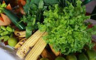 mais-de-2-milhoes-sao-investidos-pelo-governo-de-ro-na-agricultura-familiar-de-pimenta-bueno