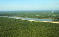 governo-de-ro-participa-do-lancamento-do-guia-de-melhores-praticas-para-projetos-de-carbono-na-amazonia