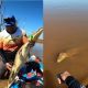 pescador-faz-‘amizade’-com-jacare-apos-fisgar-animal-por-engano-em-ro:-‘queria-passear-de-caiaque’