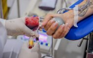 campanha-“influ-sangue-bom”-mobiliza-influenciadores-digitais-e-reforca-importancia-da-doacao-de-sangue