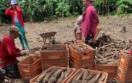 microcredito-orientado-pelo-governo-de-ro-fortalece-agricultores-familiares,-mulheres-e-jovens-rurais