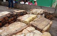 extrativismo-sustentavel-e-impulsionado-pelo-governo-de-ro-com-comercializacao-de-borracha-em-unidades-de-conservacao