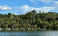 link-para-requerimento-de-regularizacao-ambiental-e disponibilizada-pelo-governo-de-ro