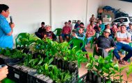 expansao-da-area-plantada-de-cafe-e-fortalecida-pelo-governo-de-ro-com-entrega-de-115-mil-mudas-aos-produtores-do-estado