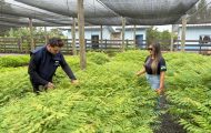 governo-de-ro-realiza-vistorias-tecnicas-em-viveiros-municipais-do-projeto-“colhendo-sementes,-construindo-viveiros,-plantando-florestas”